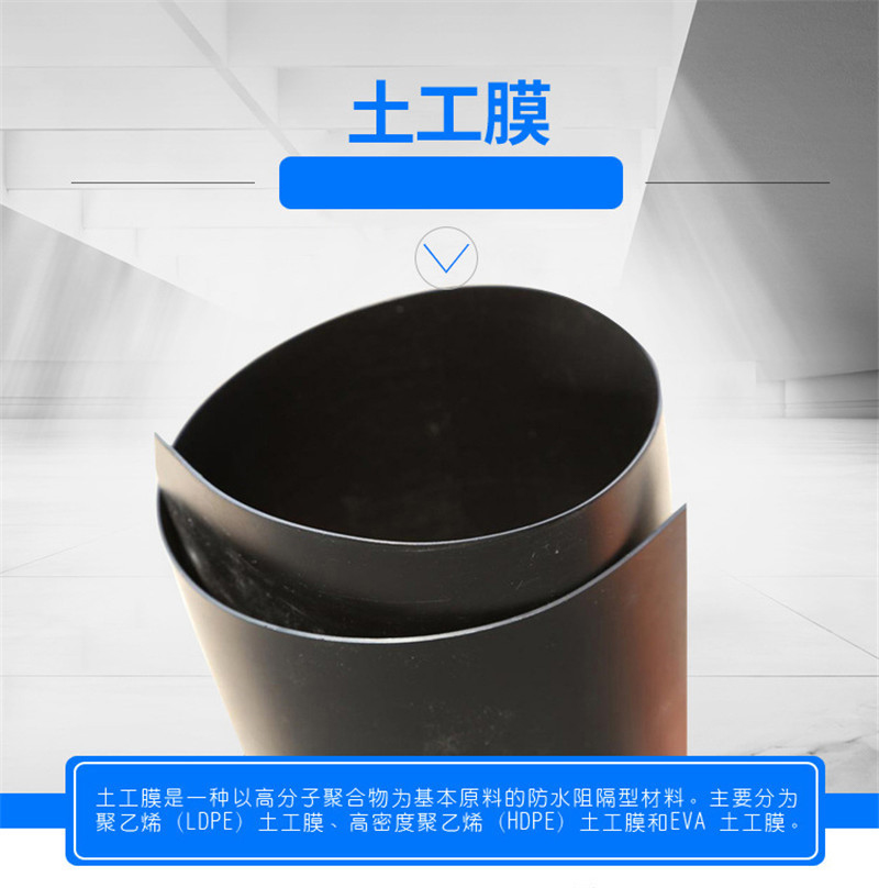 鴻躍-2.jpg
