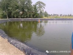 大家為什么如此的喜愛魚塘防滲膜？