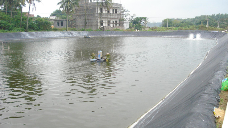 魚(yú)塘防滲工程案例